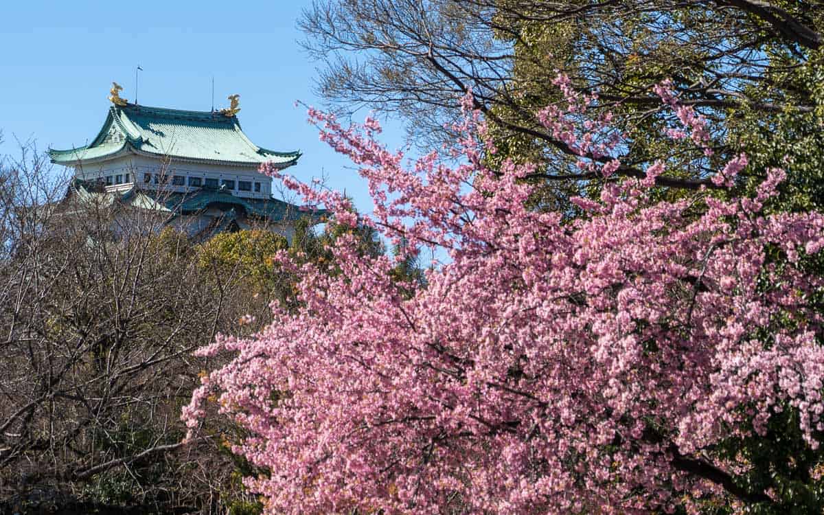 Nagoya Castle, a highlight of a day trip to Nagoya, Japan